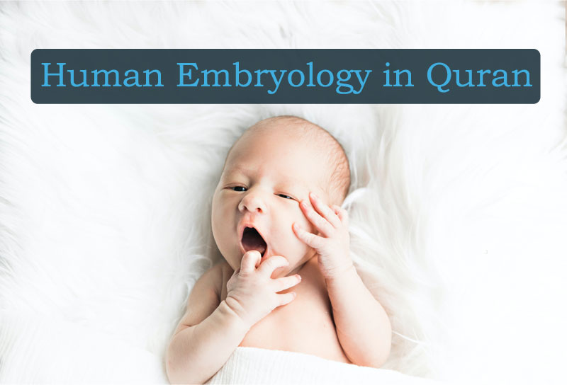 Human Embryology in Quran